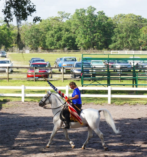 A FANTASTIC Trip to See the Royal Lipizzan Stallions!